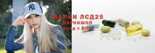 гидропоника Бородино