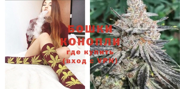 гидропоника Бородино