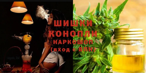 гидропоника Бородино