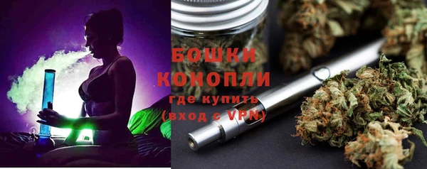 стафф Верхний Тагил