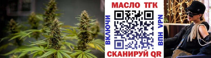 дарнет шоп  Фёдоровский  Дистиллят ТГК Wax 