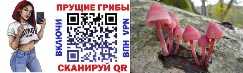 Галлюциногенные грибы Psilocybine cubensis  MEGA сайт  Фёдоровский 