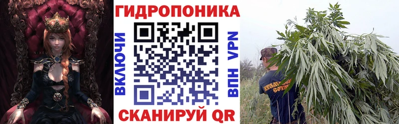 Конопля марихуана  Фёдоровский 